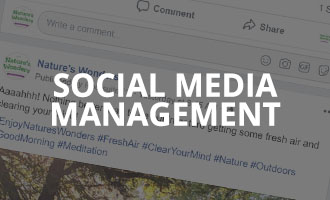 Small Business Social Media Management